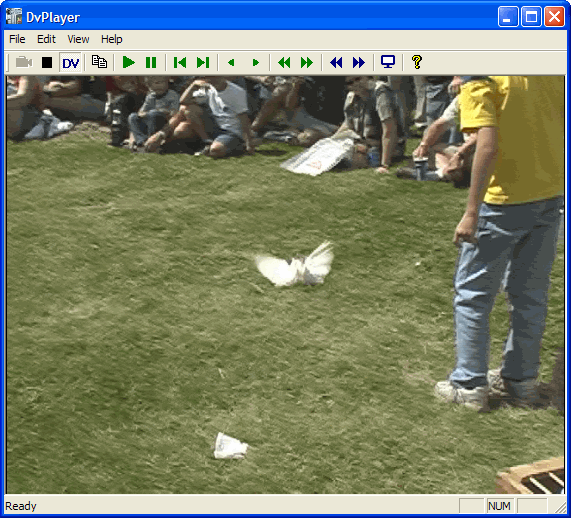 DvPlayer
